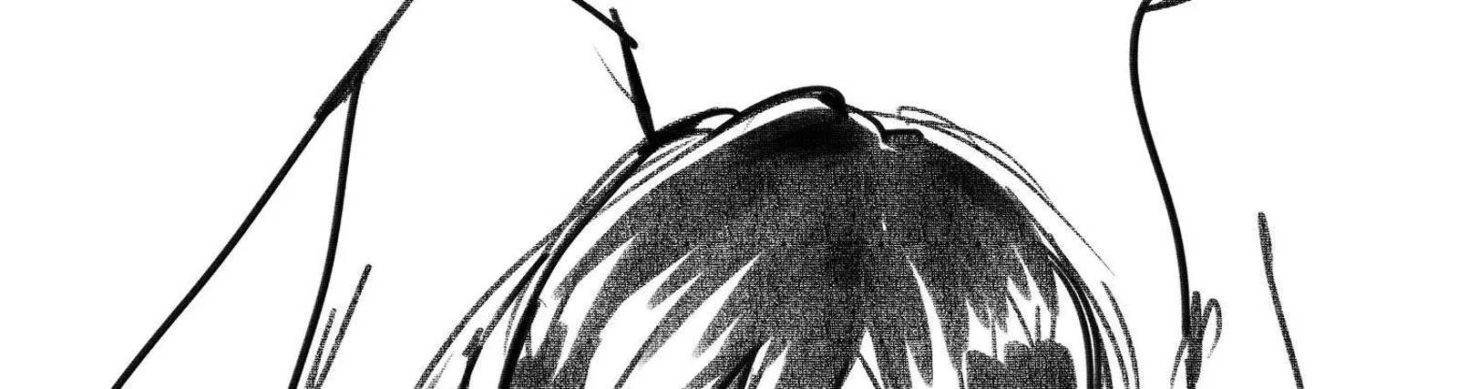 shiawase