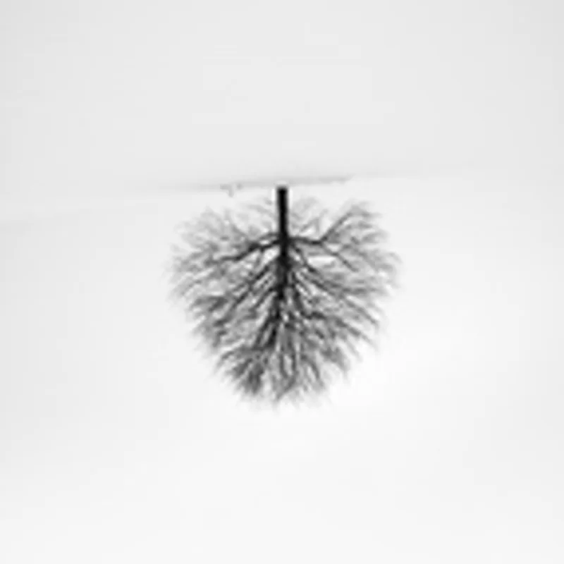 Фото исполнителя Anna Mekheles