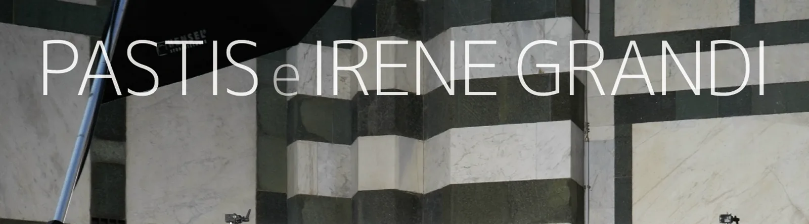 Фото исполнителя Irene Grandi