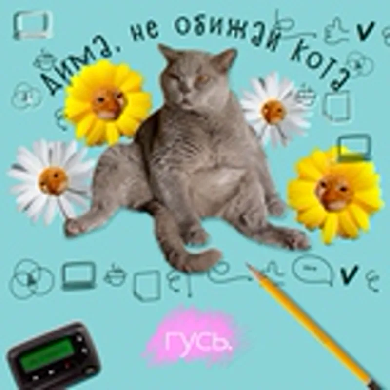 Фото исполнителя Гусь.