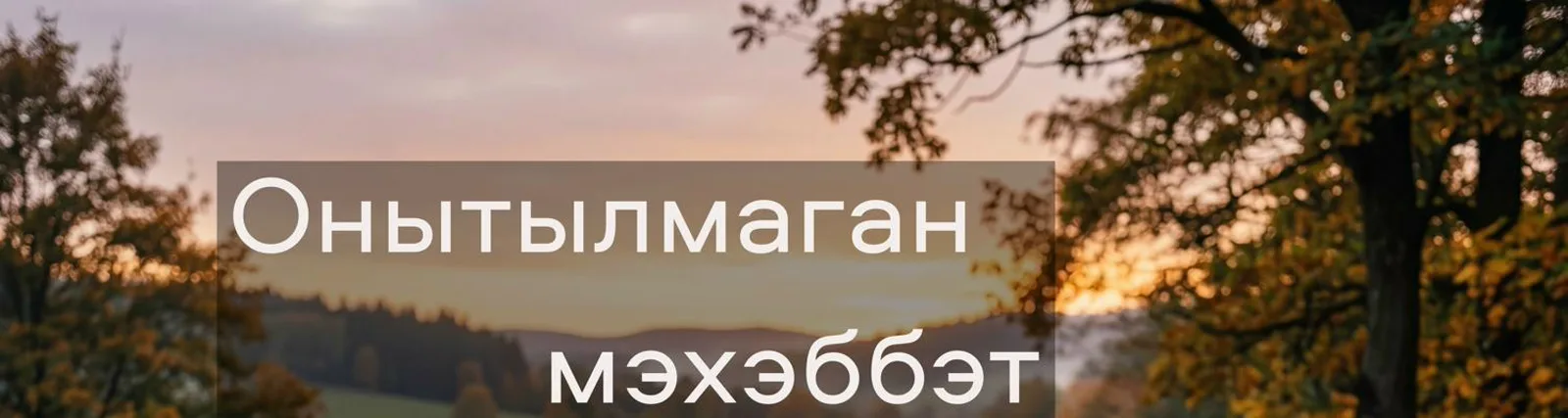 Фото исполнителя Lenar Ziganshin