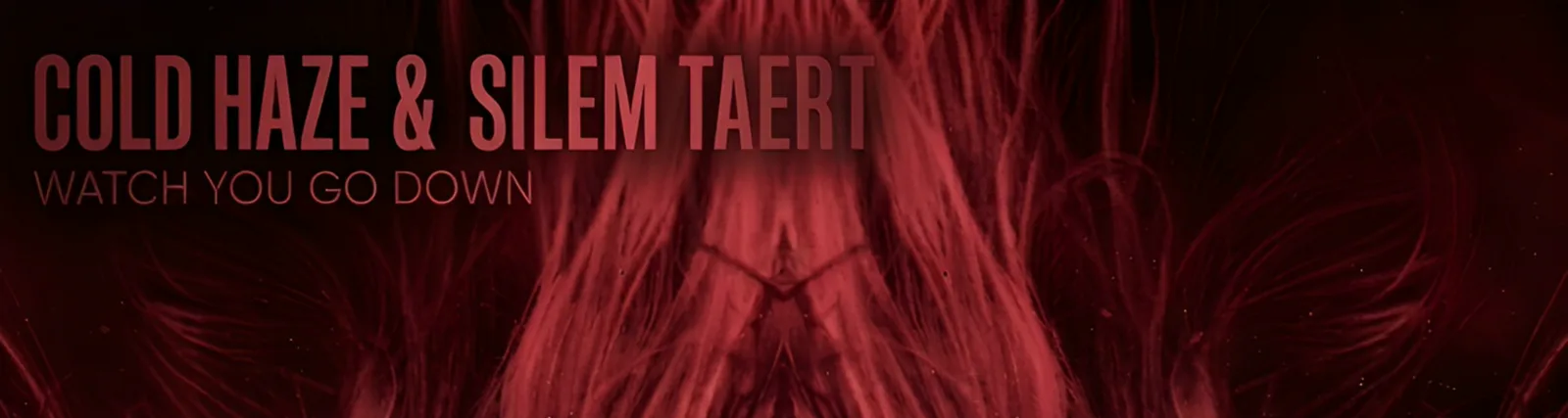 SILEM TAERT
