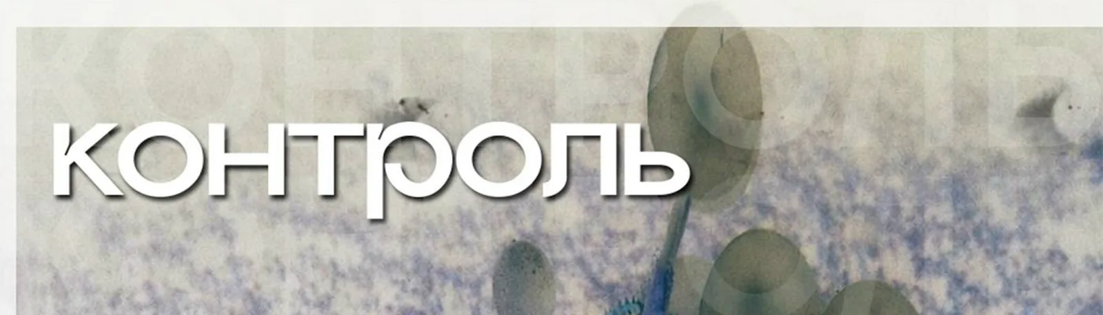 Фото исполнителя Контроль