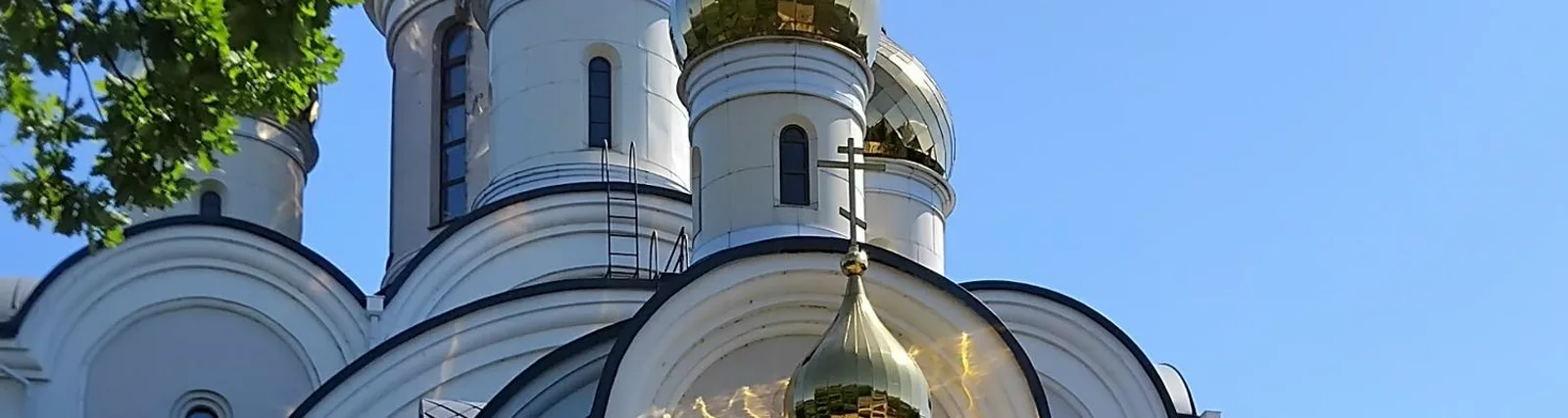 Денис Плоходько