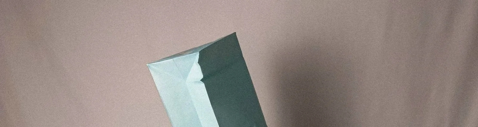Фото исполнителя стены говорят
