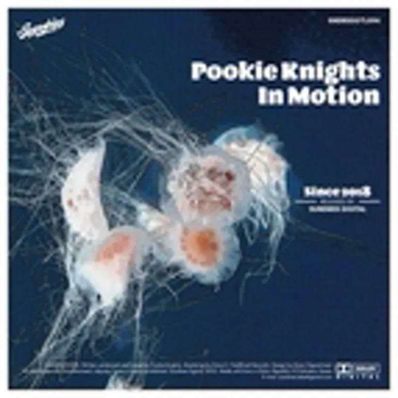 Фото исполнителя Pookie Knights