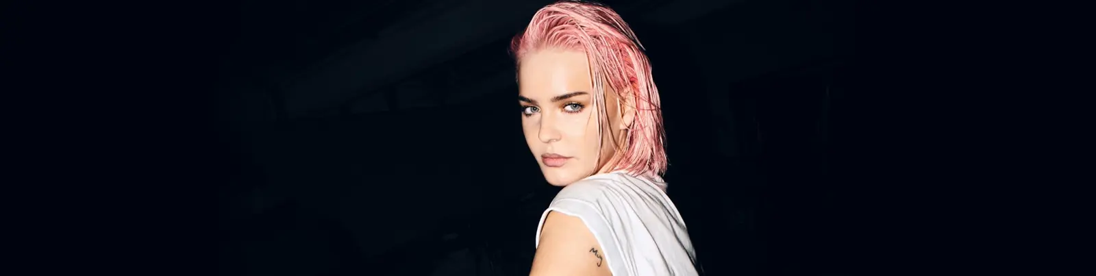 Фото исполнителя Anne-Marie