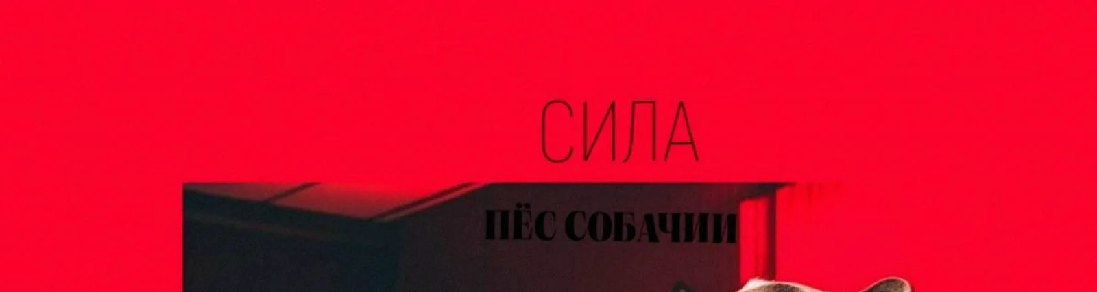 Фото исполнителя Пёс Собачий