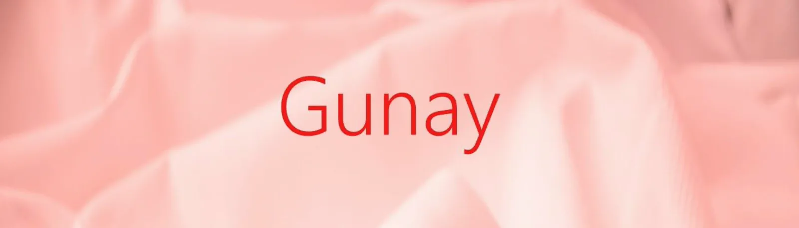 Фото исполнителя Gunay