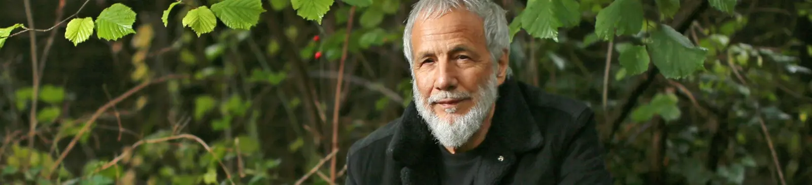 Фото исполнителя Cat Stevens