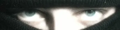 NVPVLM