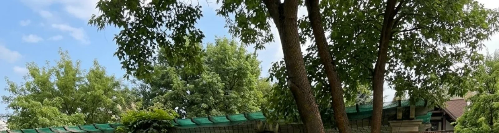 Simka