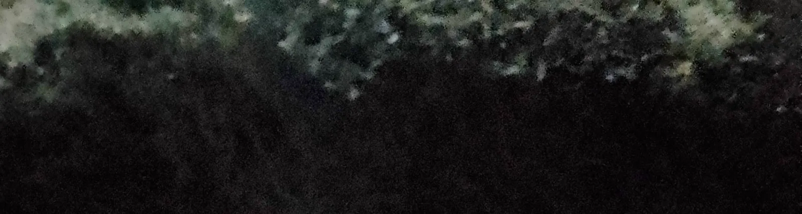 Simon