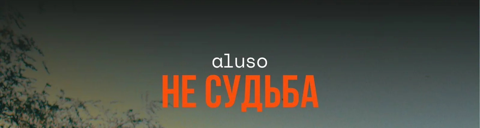 aluso