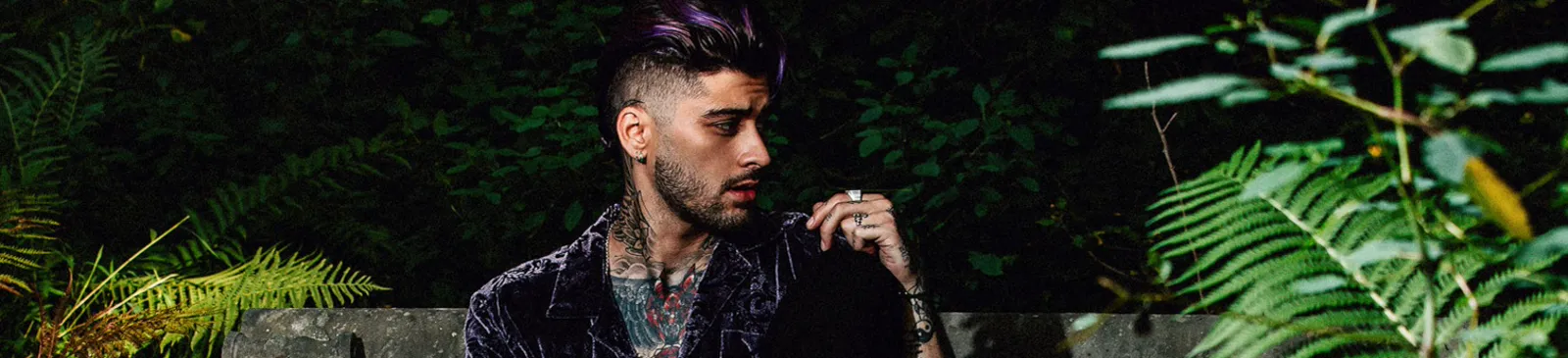 Фото исполнителя ZAYN