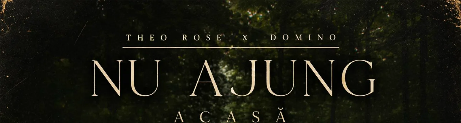 Theo Rose