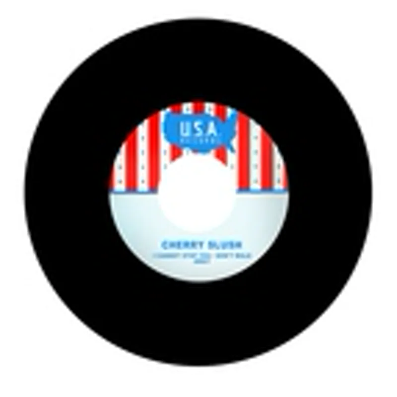 Фото исполнителя The Cherry Slush