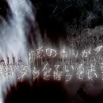 misasaidongodtony!