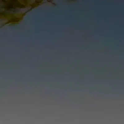 Raj