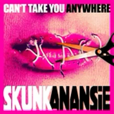 Skunk Anansie