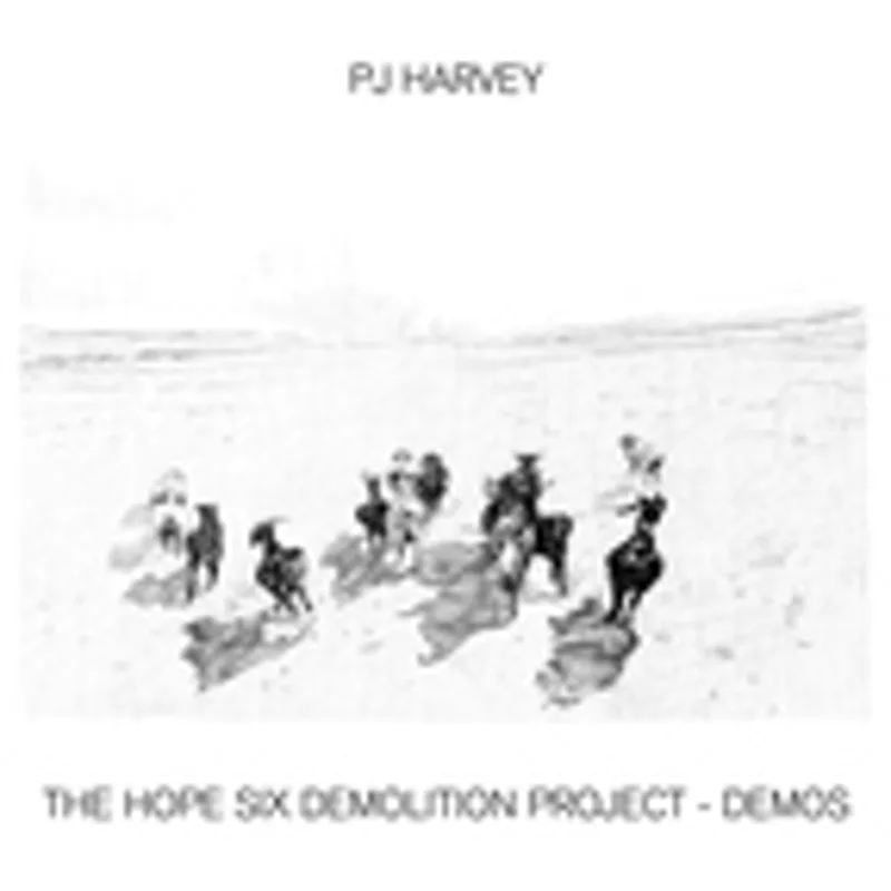 Фото исполнителя PJ Harvey