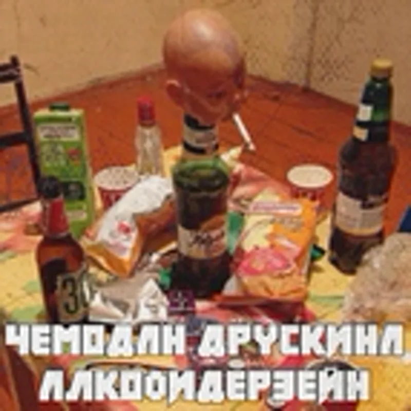 Чемодан Друскина