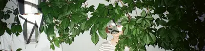Озёра