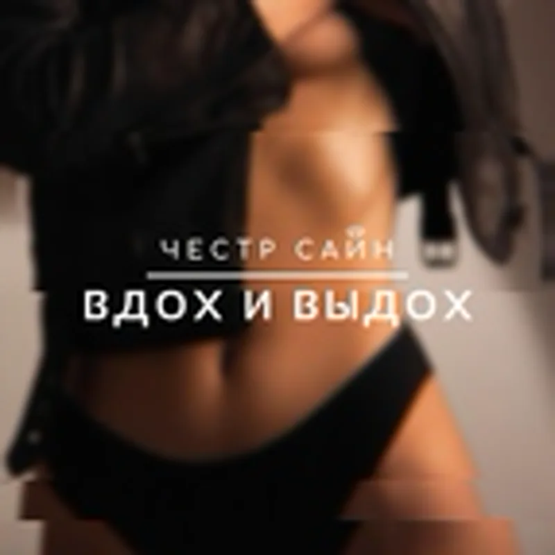 Фото исполнителя Честр Сайн