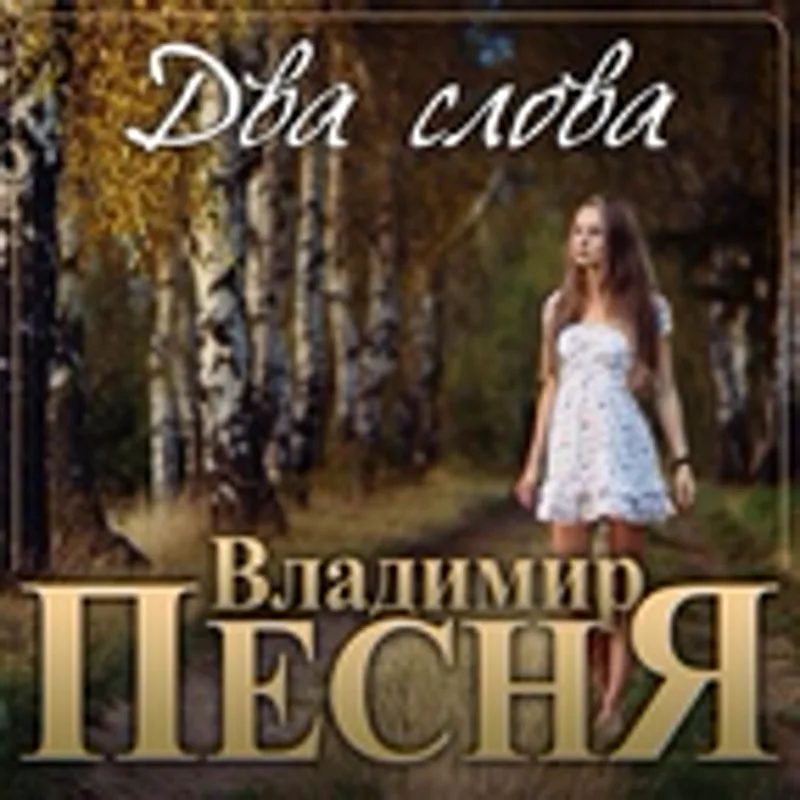 Фото исполнителя Владмимир Песня