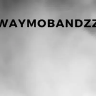WaymoBandzz