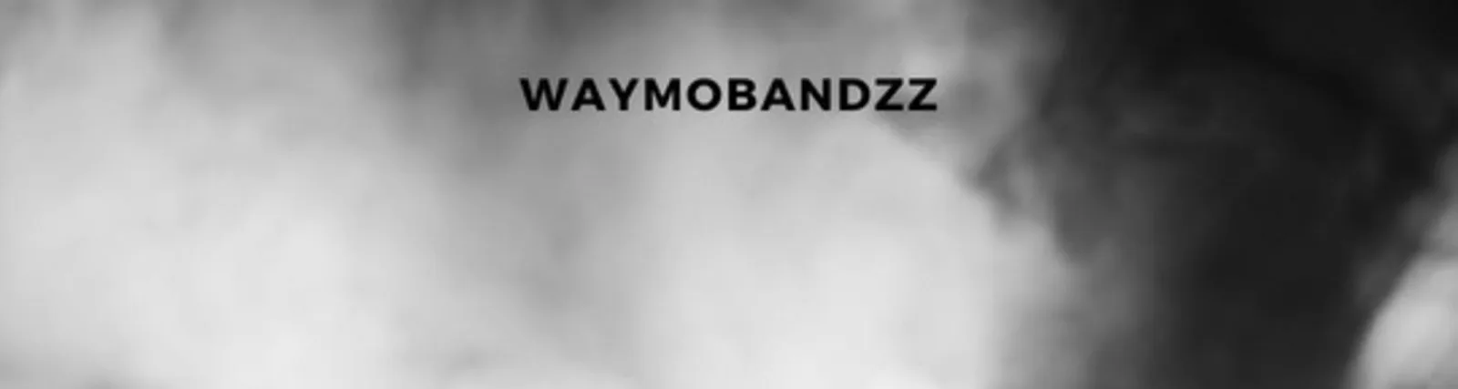 Фото исполнителя WaymoBandzz