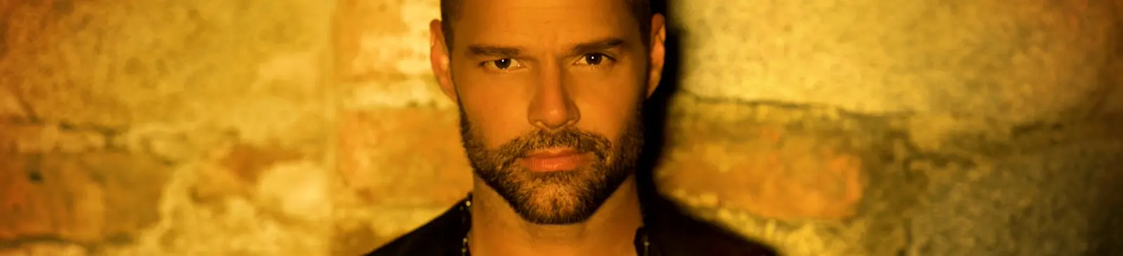 Фото исполнителя Ricky Martin