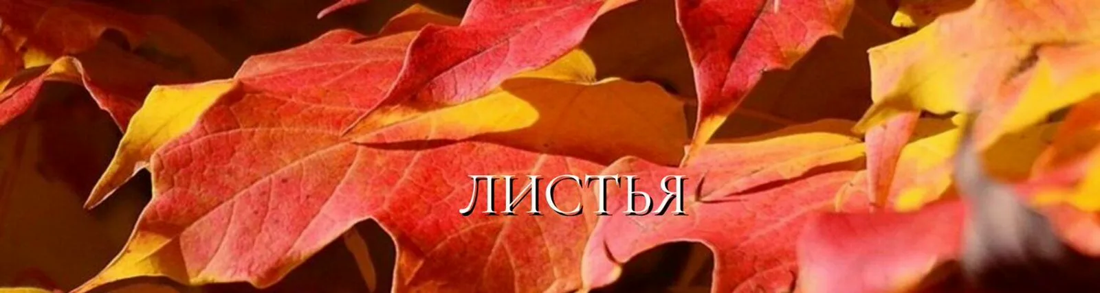 Игорь Кандур
