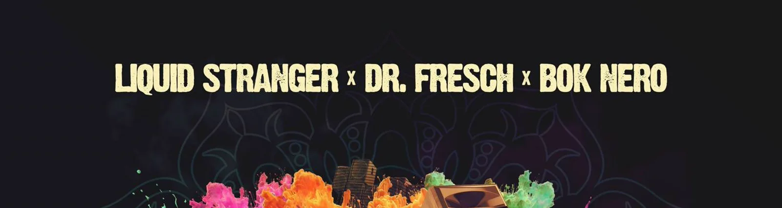 Фото исполнителя Liquid Stranger