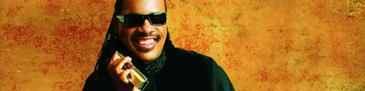 Stevie Wonder