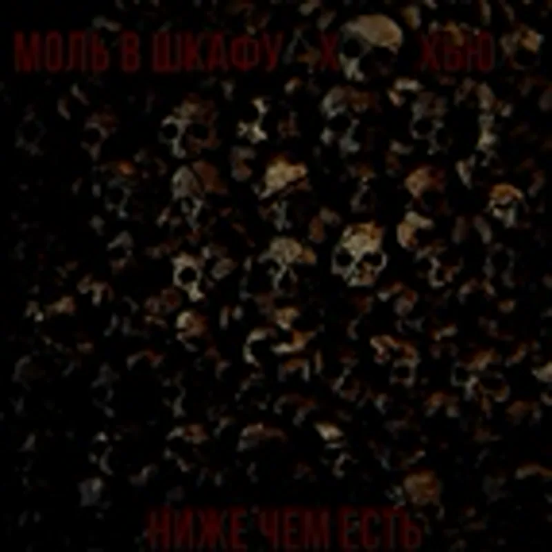 Моль В Шкафу