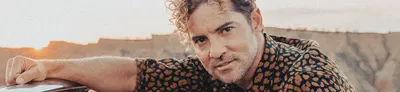 David Bisbal