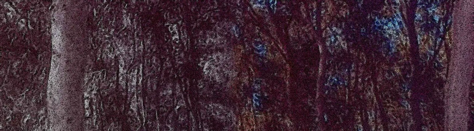 Hunt