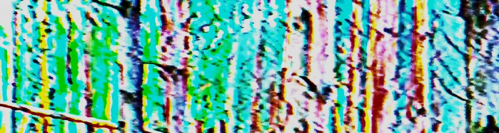 Фото исполнителя KILLINGFLXSH