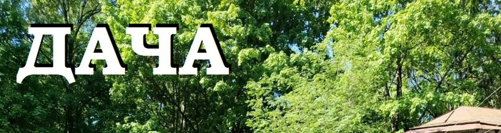 Раиса Саед-Шах