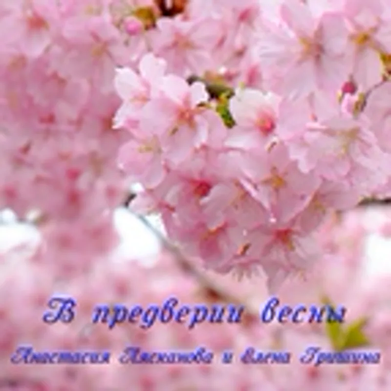 Фото исполнителя Елена Гришина