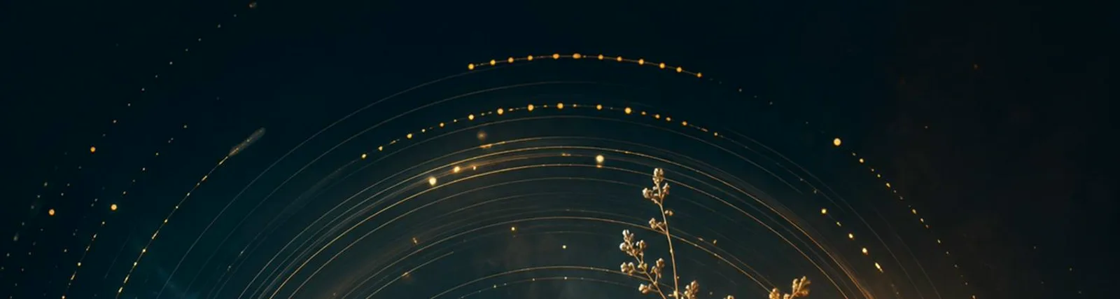 Фото исполнителя Solfeggio Frequencies 528Hz