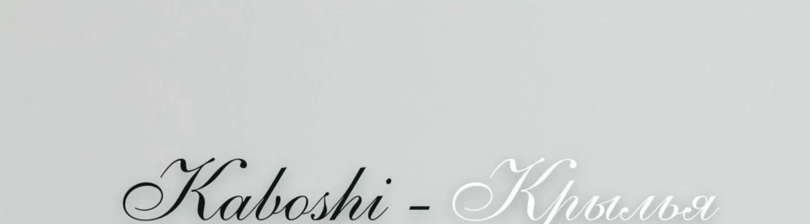 Фото исполнителя KaBoShi