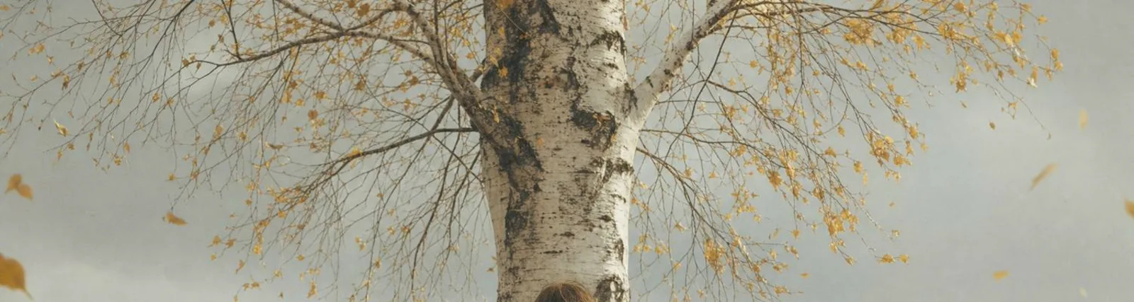 Фото исполнителя Сонаса Каба