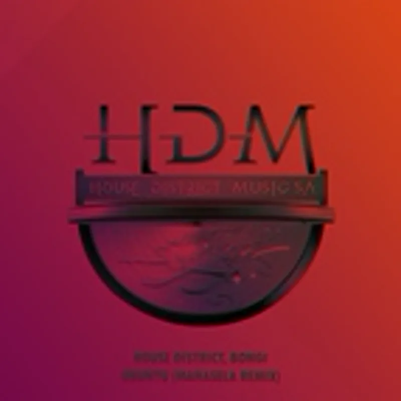 Фото исполнителя House District