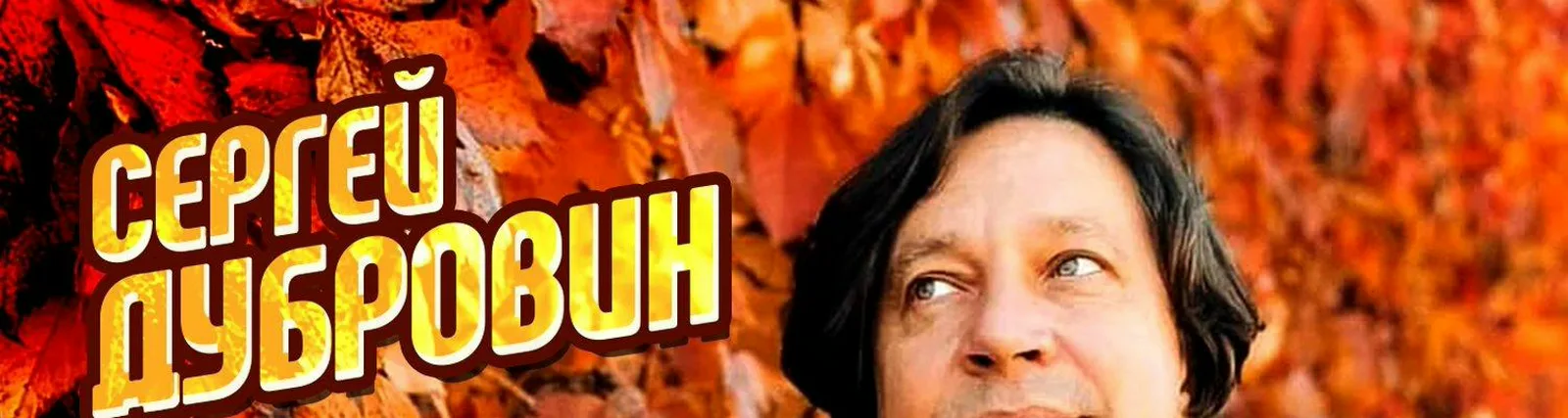 Сергей Дубровин