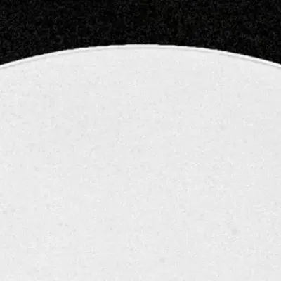 Disrupta