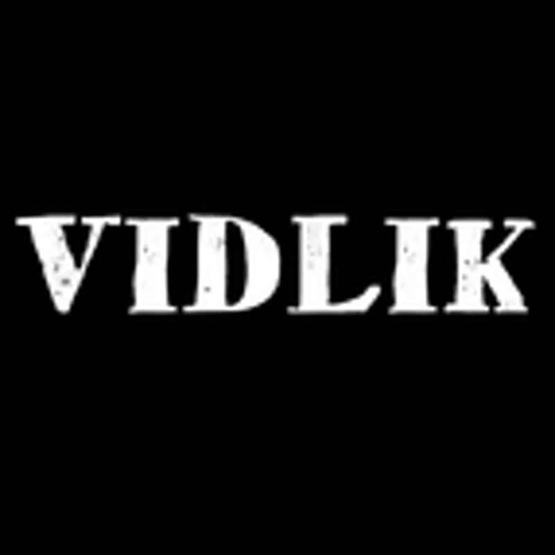 Фото исполнителя VIDLIK