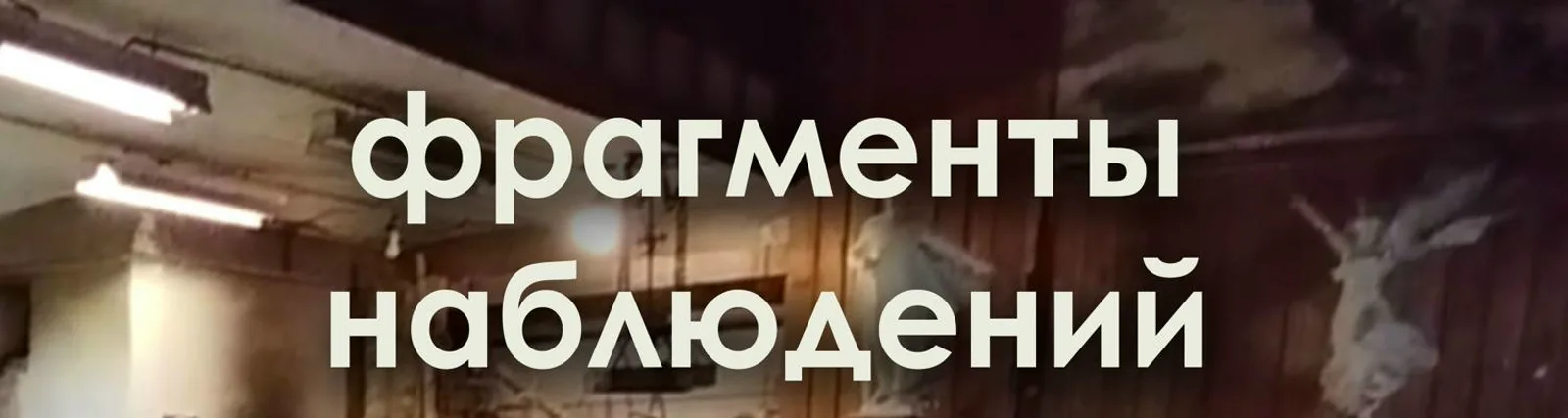 Фрагменты Наблюдений