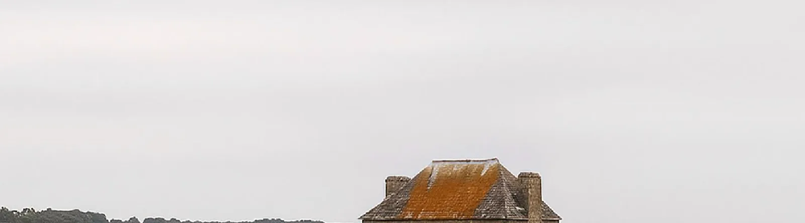 Фото исполнителя Ferdinand